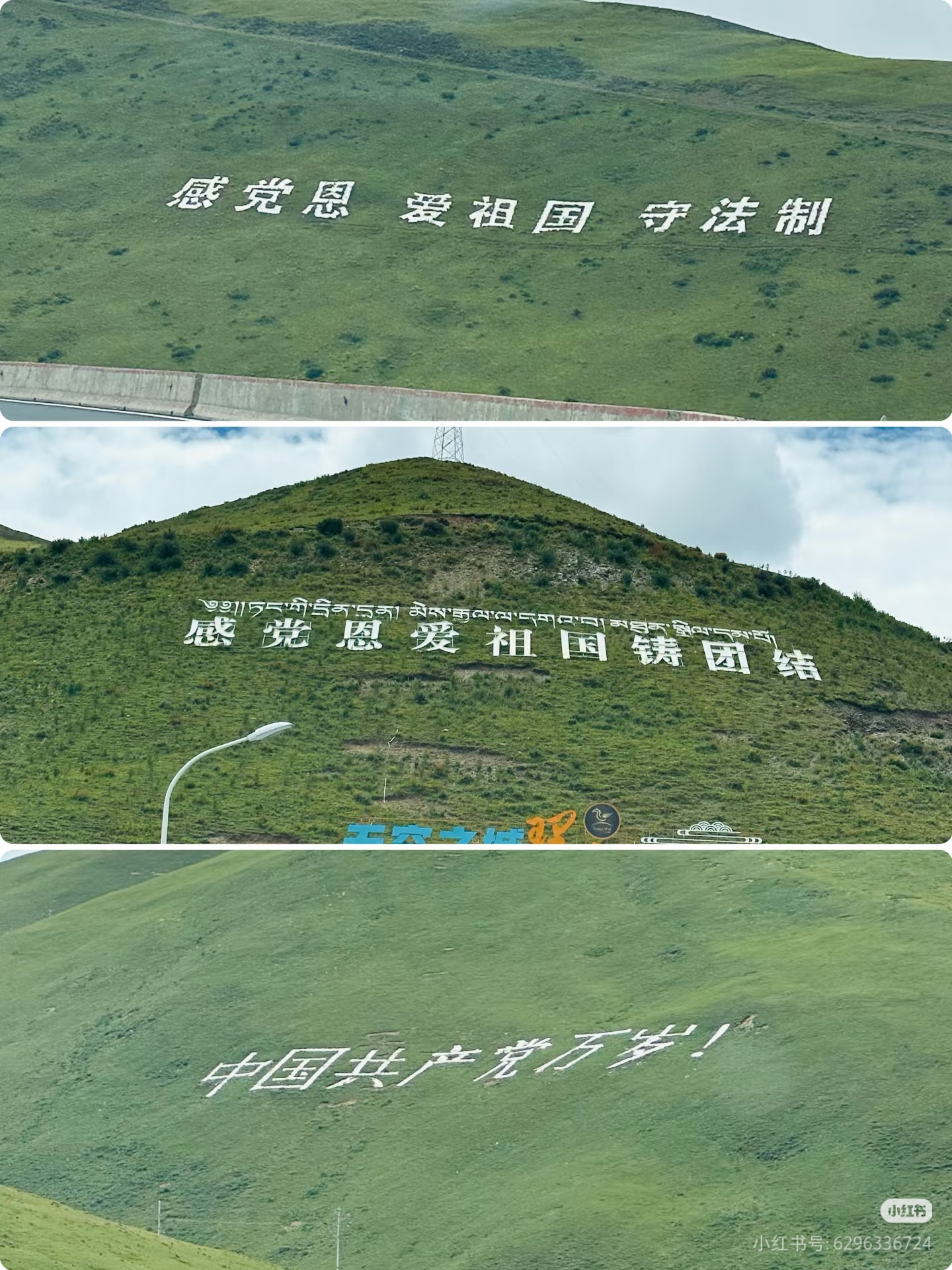 文章图片