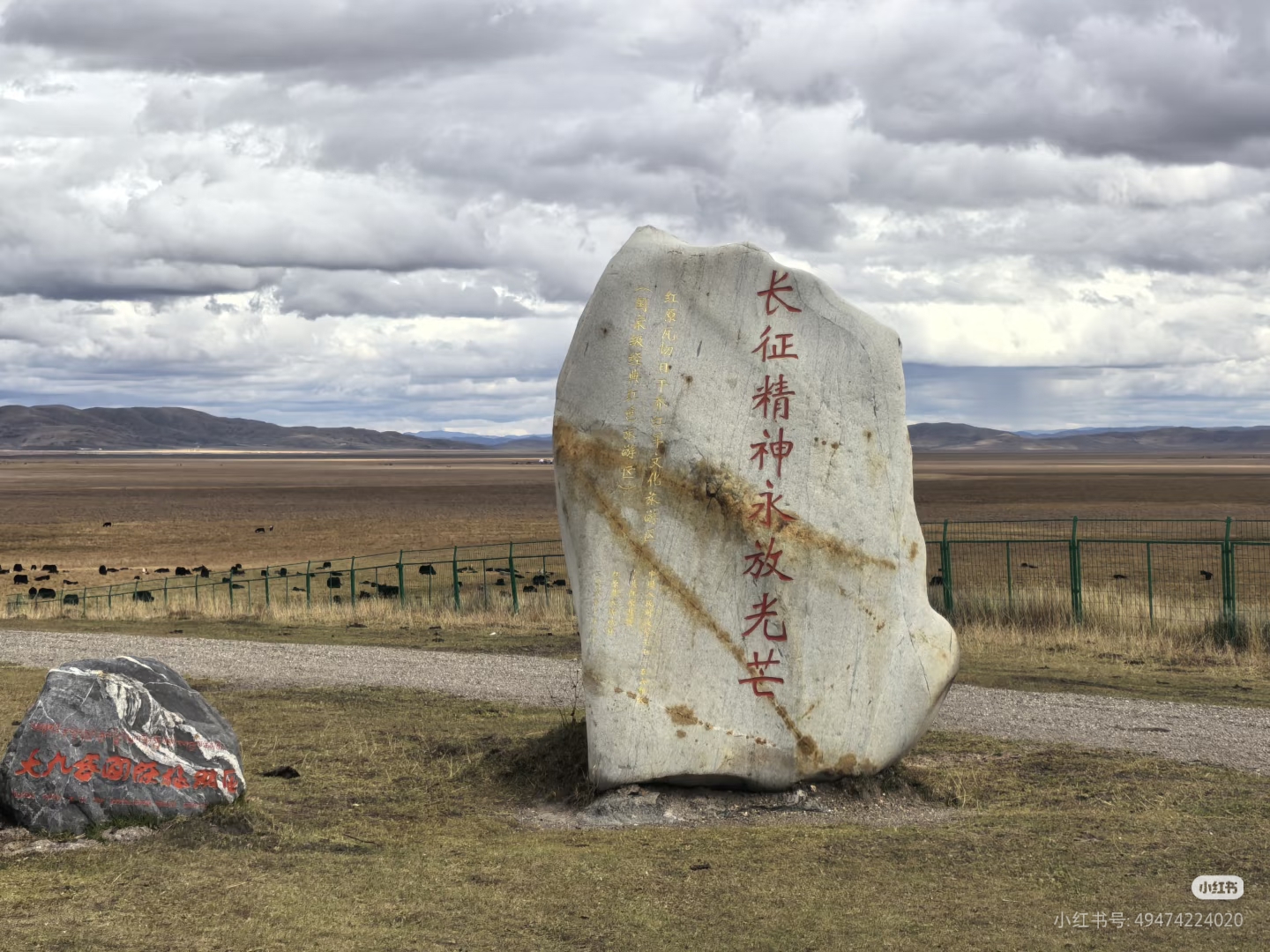 文章图片