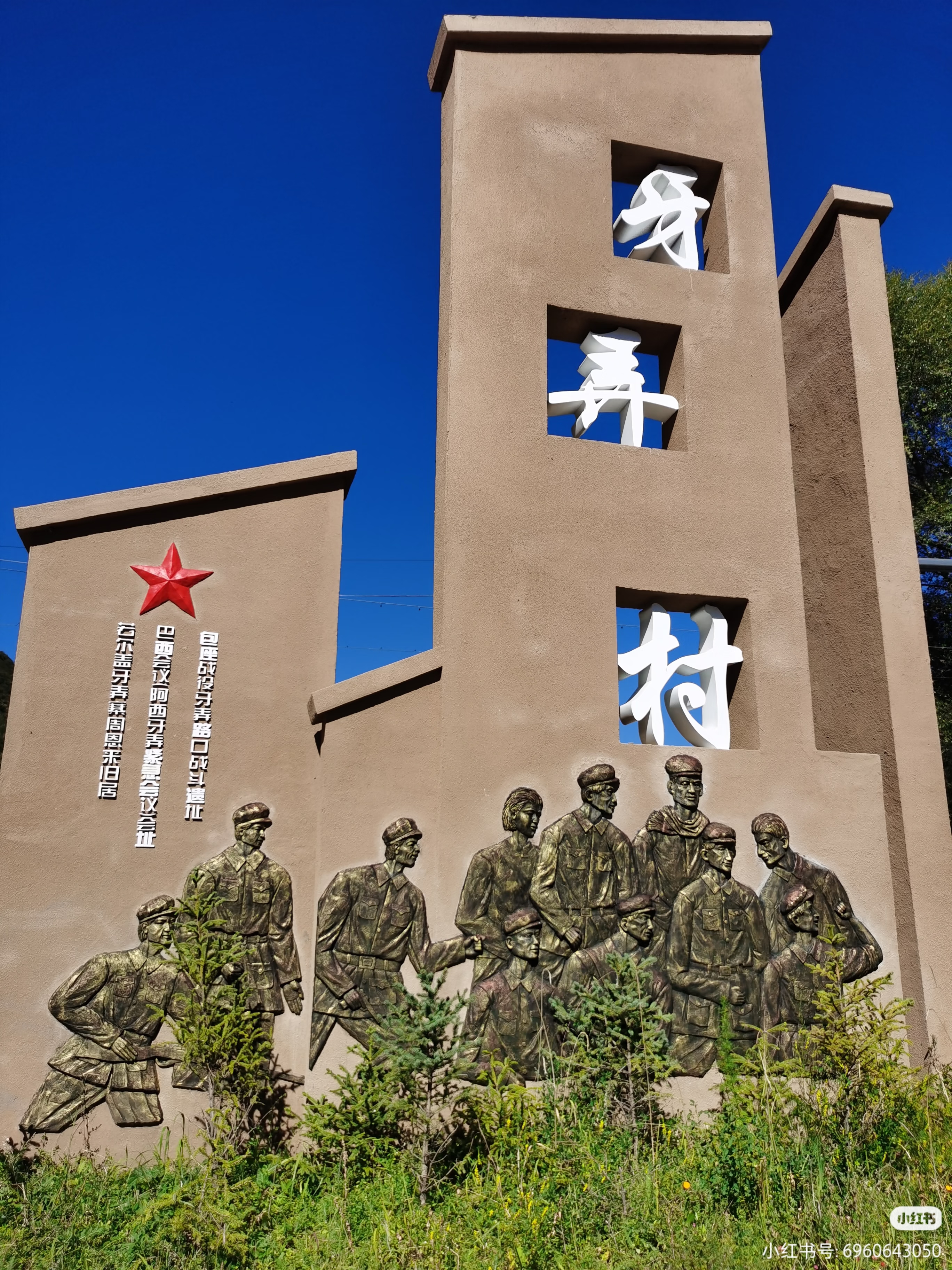文章图片