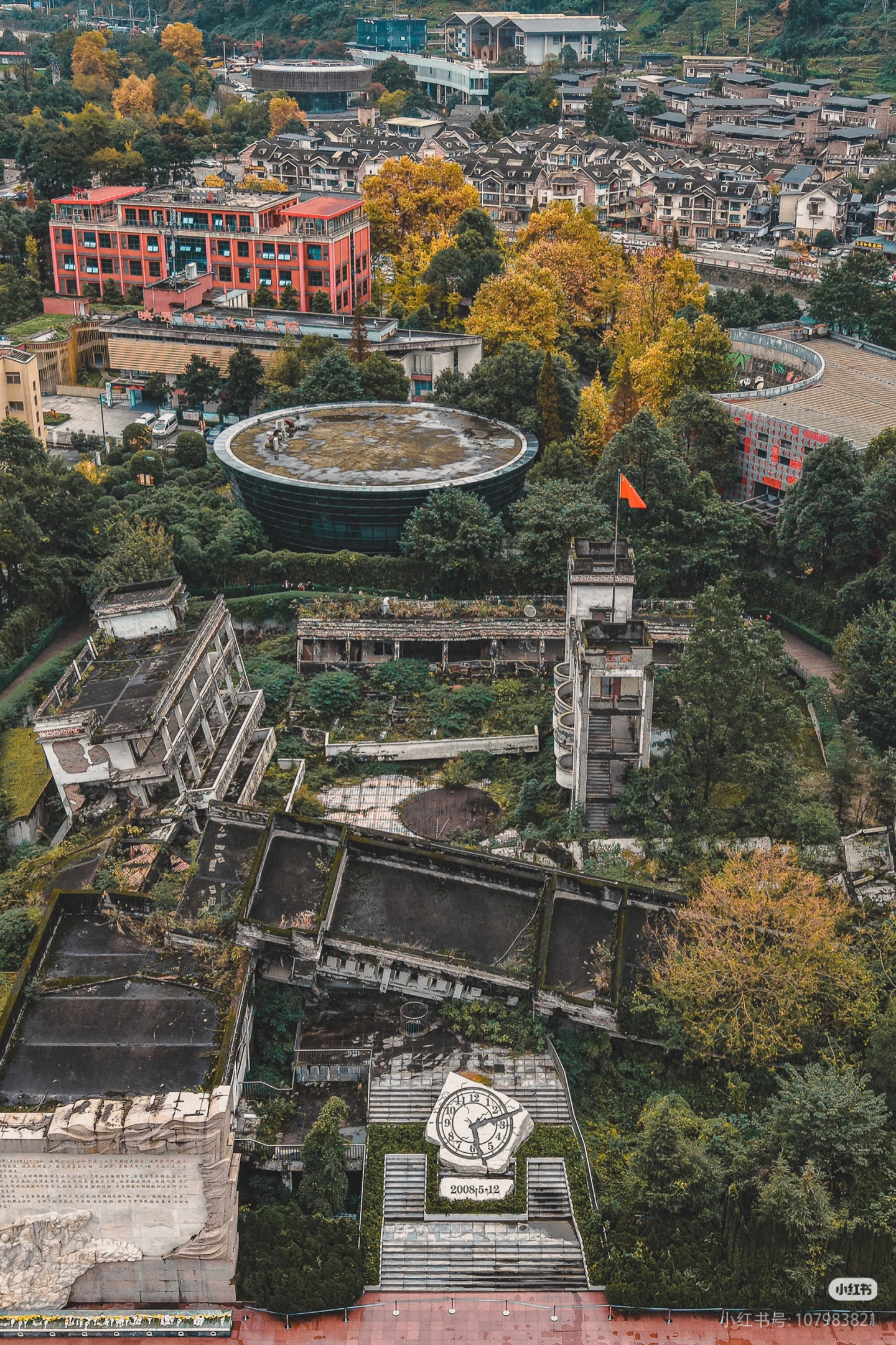 文章图片