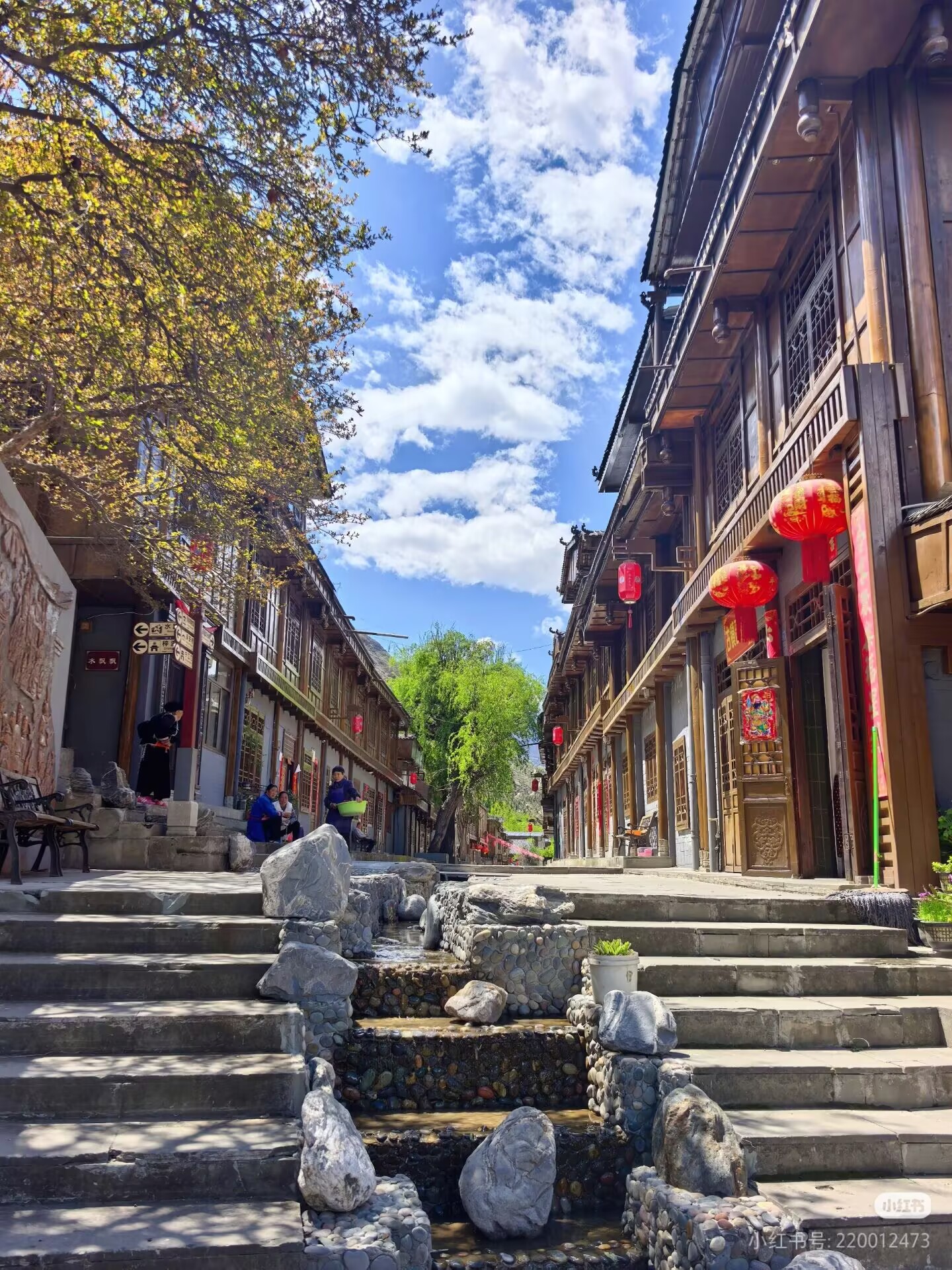 文章图片