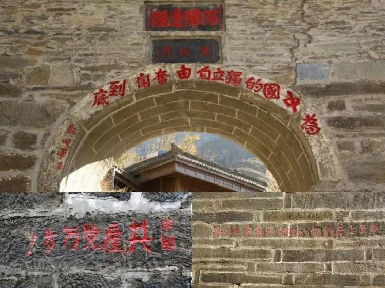 文章图片