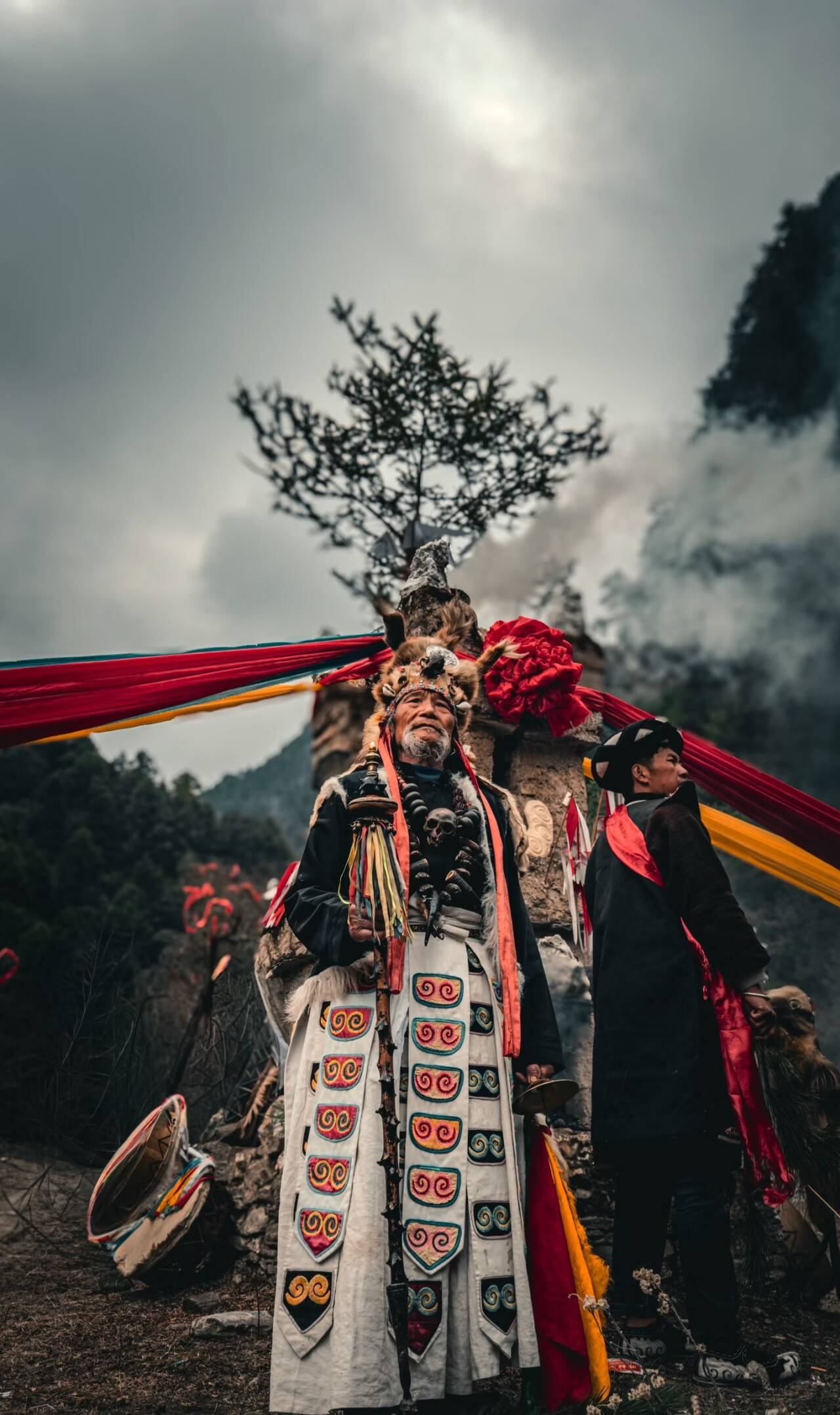 文章图片