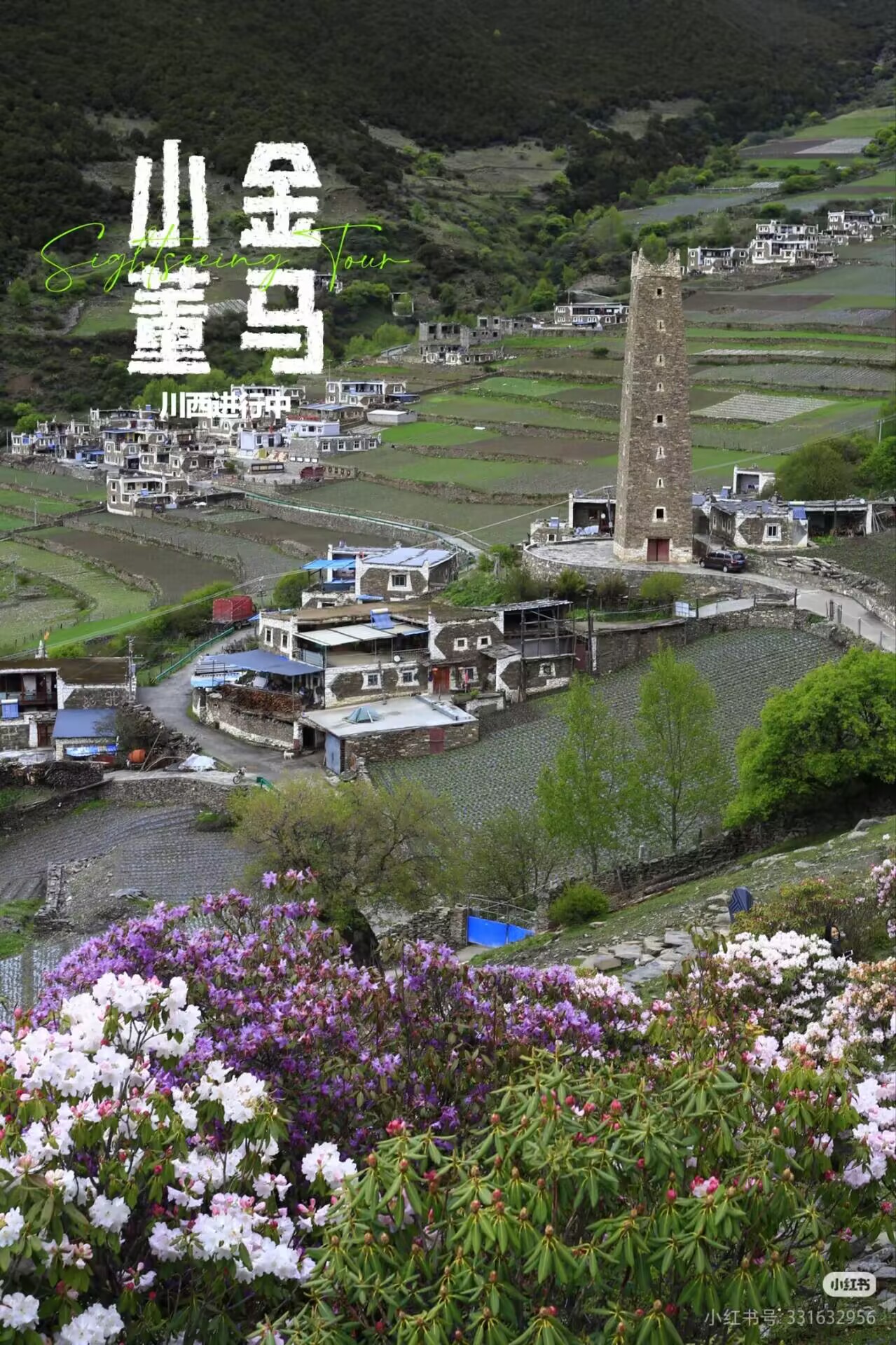 文章图片